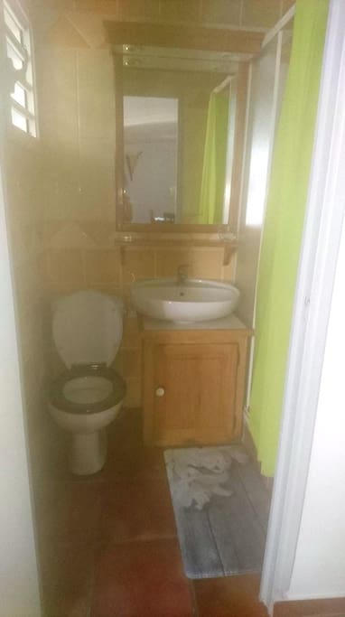 Sanitaire (Toilette+douche)