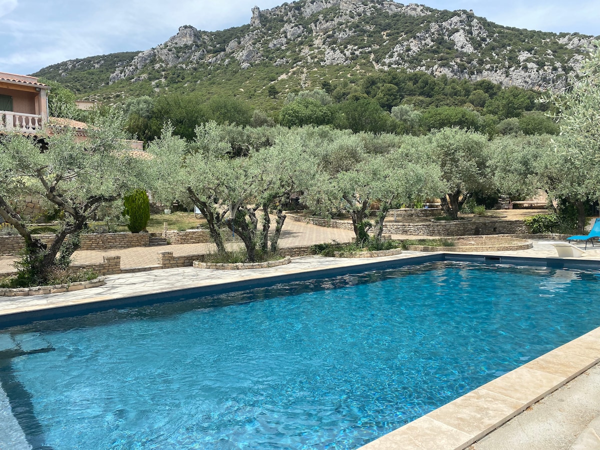 The image features a clear, inviting swimming pool surrounded by olive trees. The serene landscape includes rolling hills in the background, showcasing natural greenery. The pool area is easily accessible, with surrounding stone walkways leading to areas for relaxation.