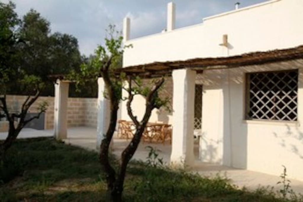 Facciata ovest e giardino