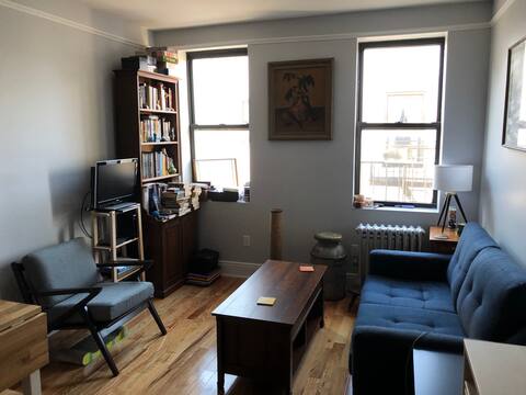 Charming Astoria one bedroom apartment