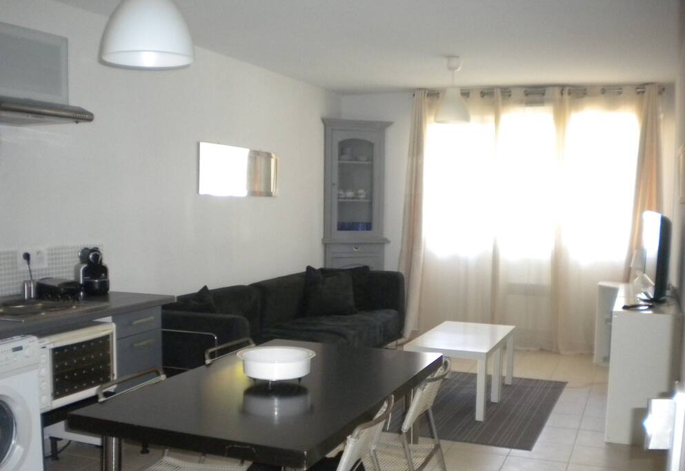 Salon avec canapé double+ salle à manger avec cuisine à l'américaine