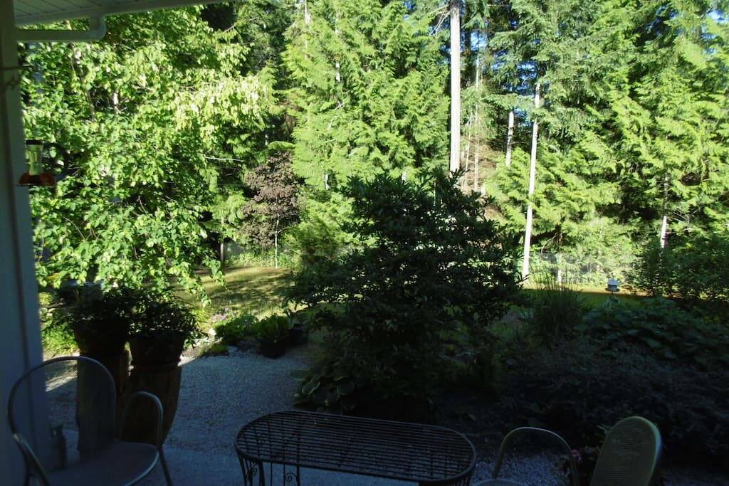 Watch the hummingbirds and many other bird species at our feeders in the garden