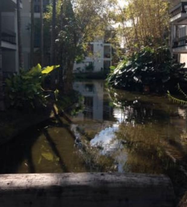 This tranquil, flowing waterway runs throughout the entire complex and just outside the lanai of the unit.