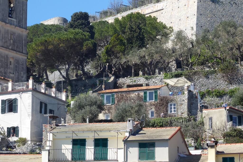 Vista della Bouganvilla dal paese