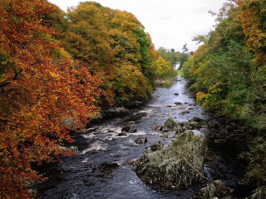 Autumnal colours beside nearby river Feugh