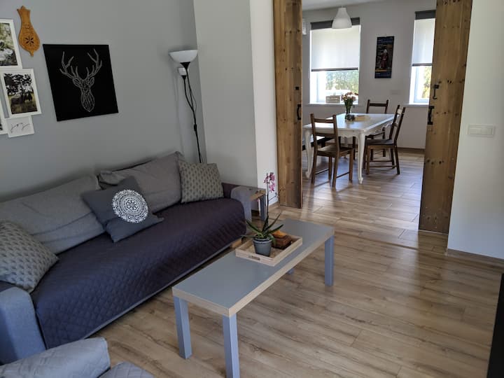 R&R Charming Apartment with Terrace and Big Yard Apartments for Rent in Druskininkai, Alytaus