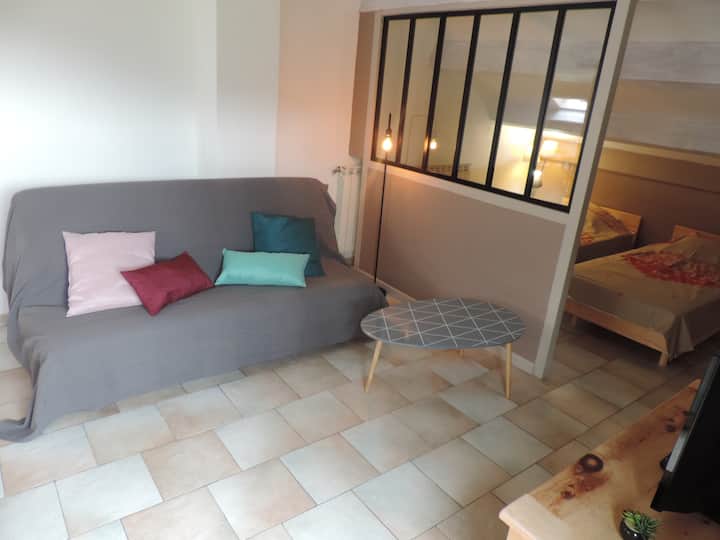 Appartement Saint-martin-vésubie Mercantour - Saint-Martin-Vésubie