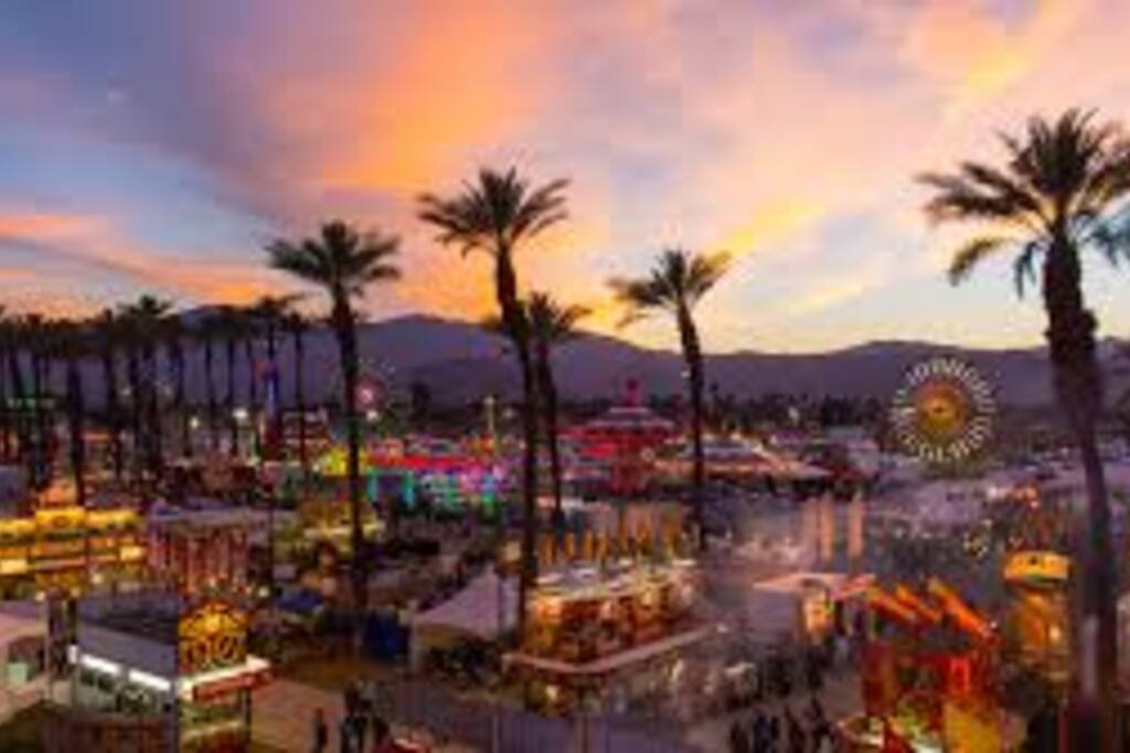 Coachella Festival