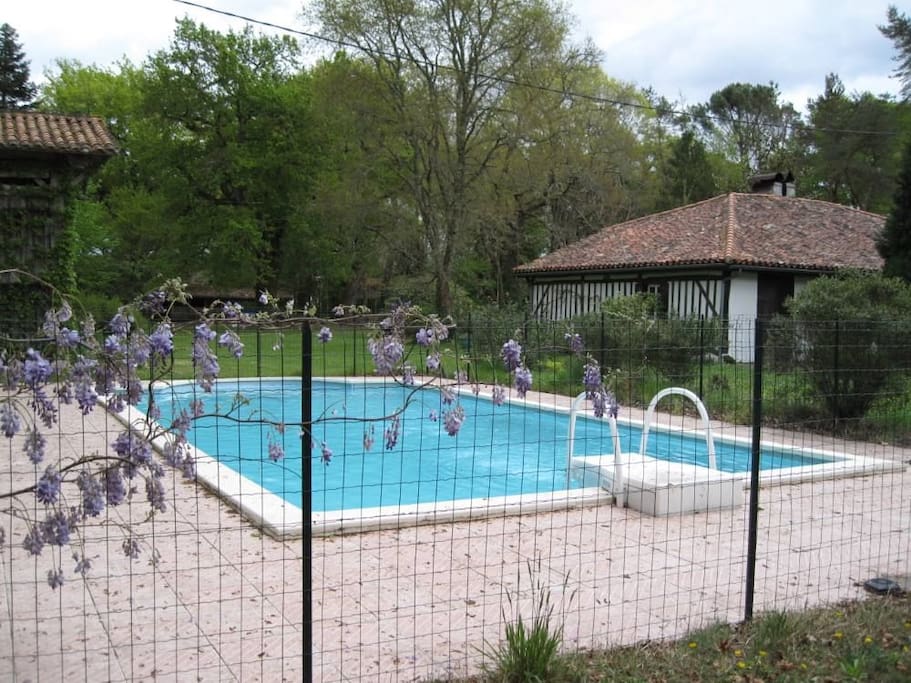 Piscine sécurisée