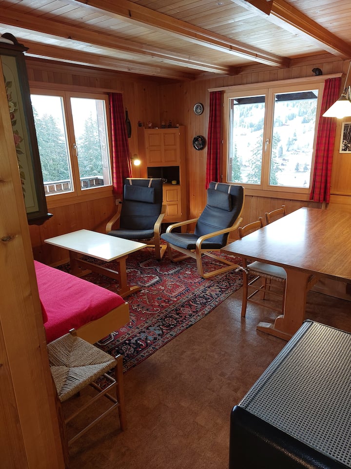 Sonne, Wandern, Biken, Geniessen Und Grillen - Saanen