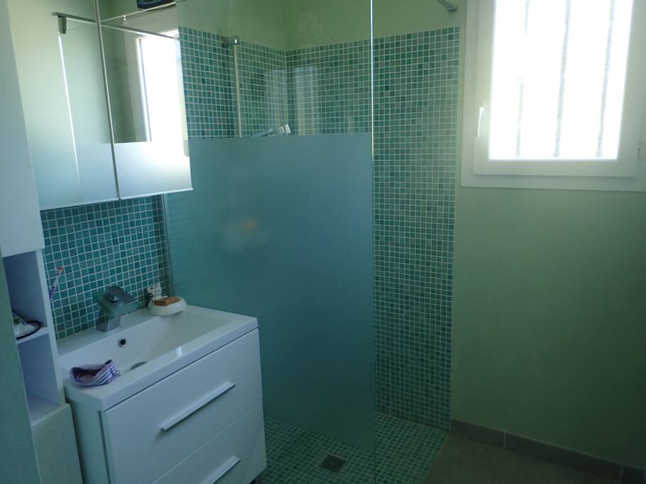 Salle d'eau : douche à l'italienne, lavabo