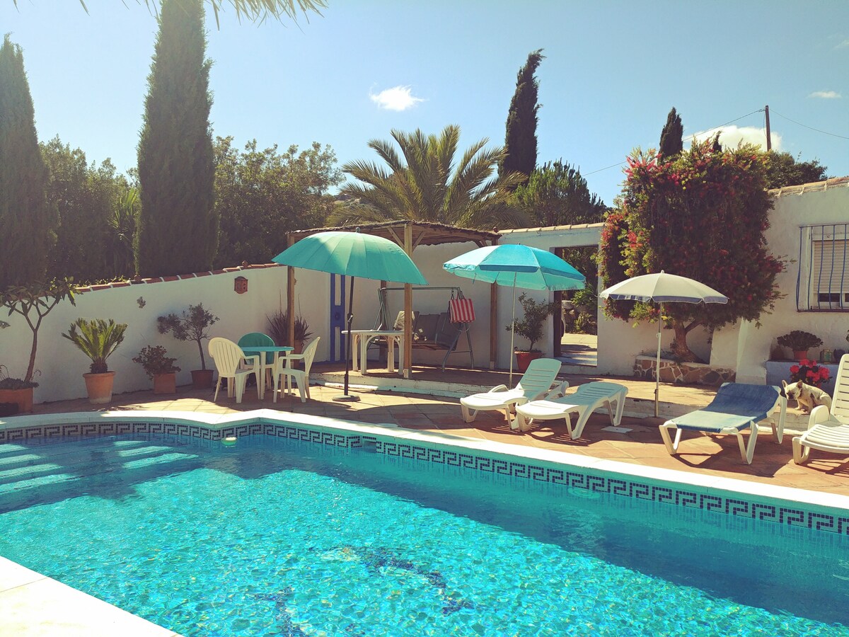 A spacious pool area is surrounded by various seating options, including lounge chairs and umbrellas for shade. Lush greenery, such as palm trees and flowering plants, complements the tranquil setting. The sparkling blue water of the pool invites relaxation, enhancing the serene ambiance.