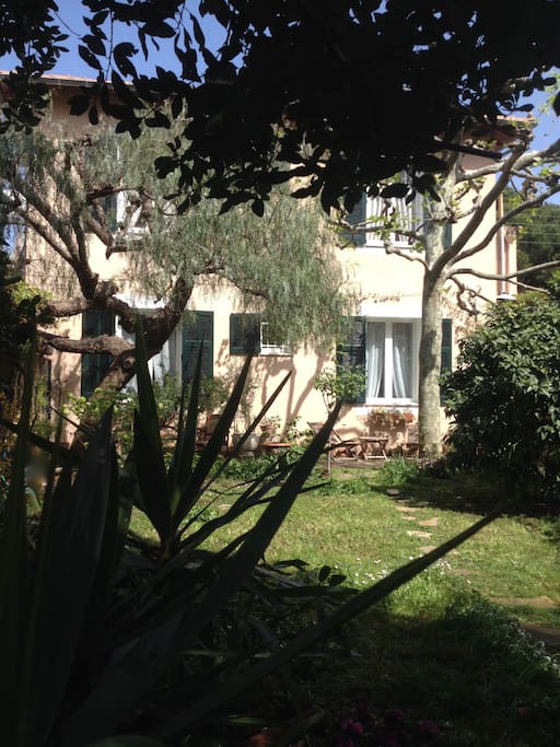Villa Prétorina. Cannes. un jardin en ville