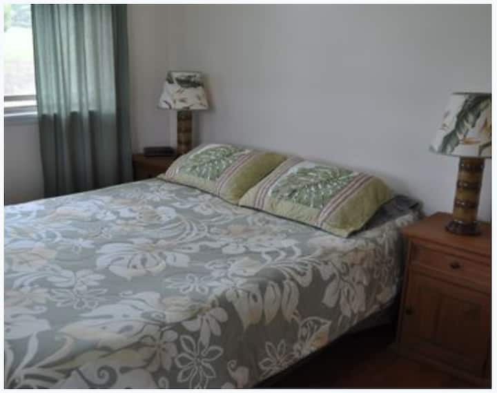 Dormitorio con cama tamaño queen.