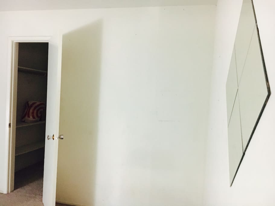 Private Closet in the room