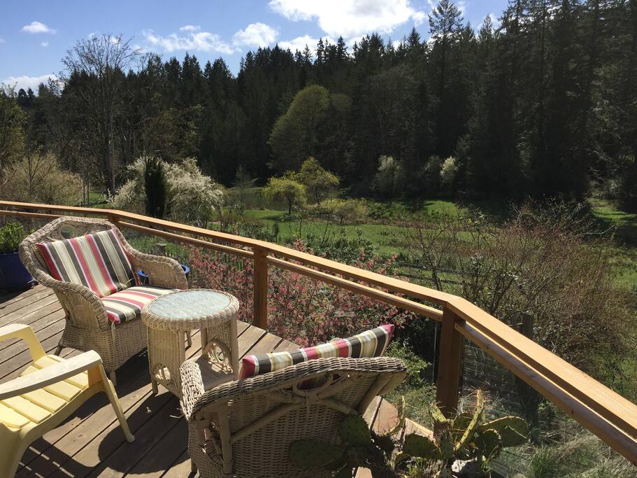 South facing deck
