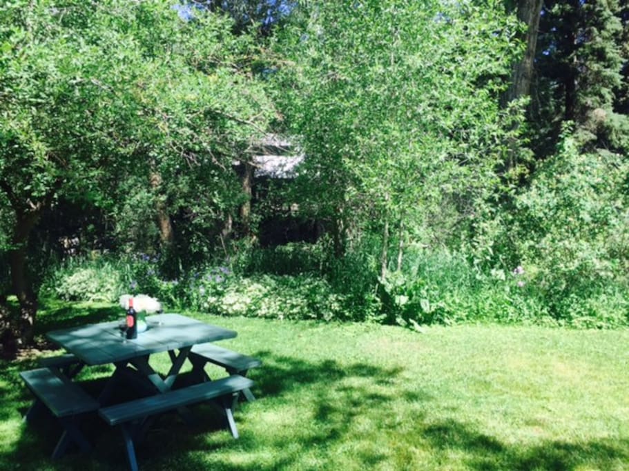 Back yard picnic table