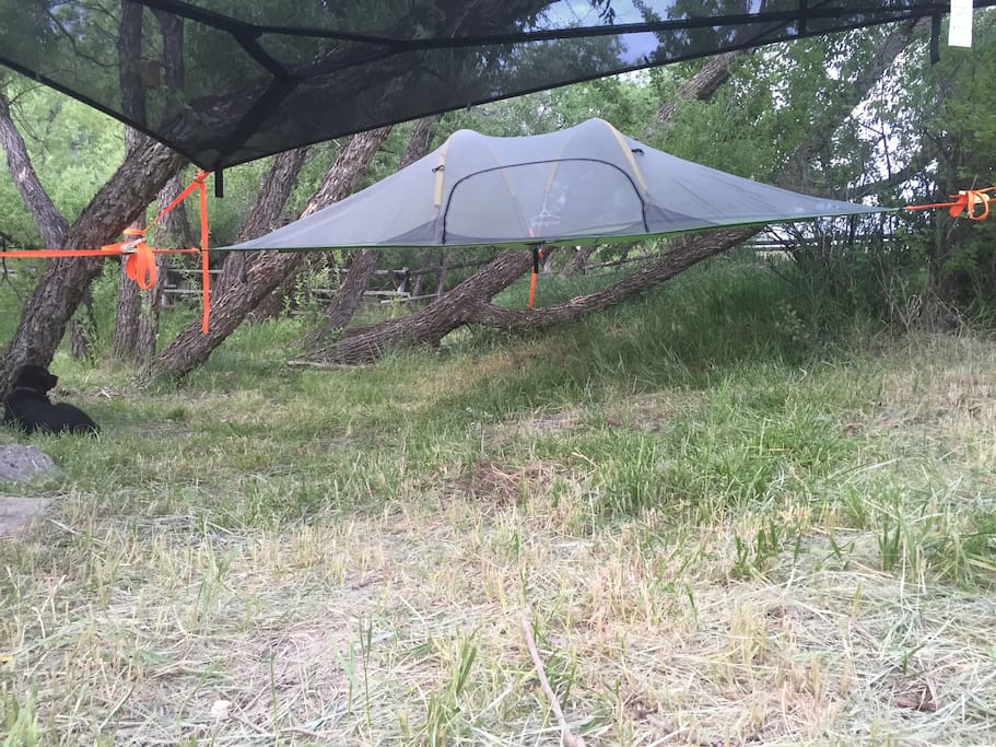 Stingray Tent by Tentstile