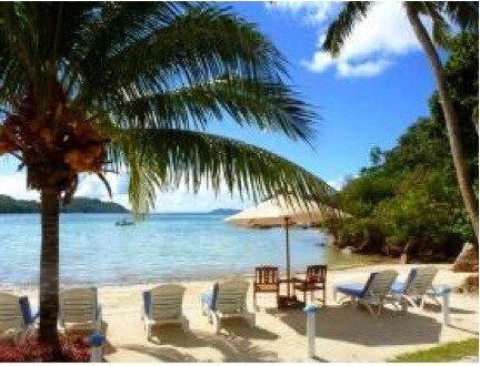 A sandy beachfront area is depicted, featuring sun loungers under swaying palm trees. A large umbrella provides shade to a small table and two chairs, while the gentle waves of the water are visible in the background, reflecting a clear blue sky.