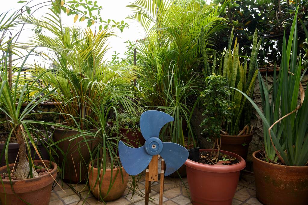 Varanda com jardim