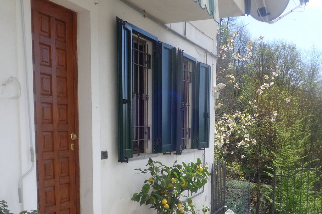 ingresso, aroma di limoni
