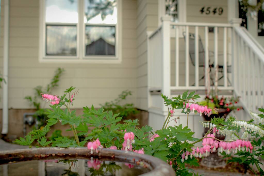 Front yard garden