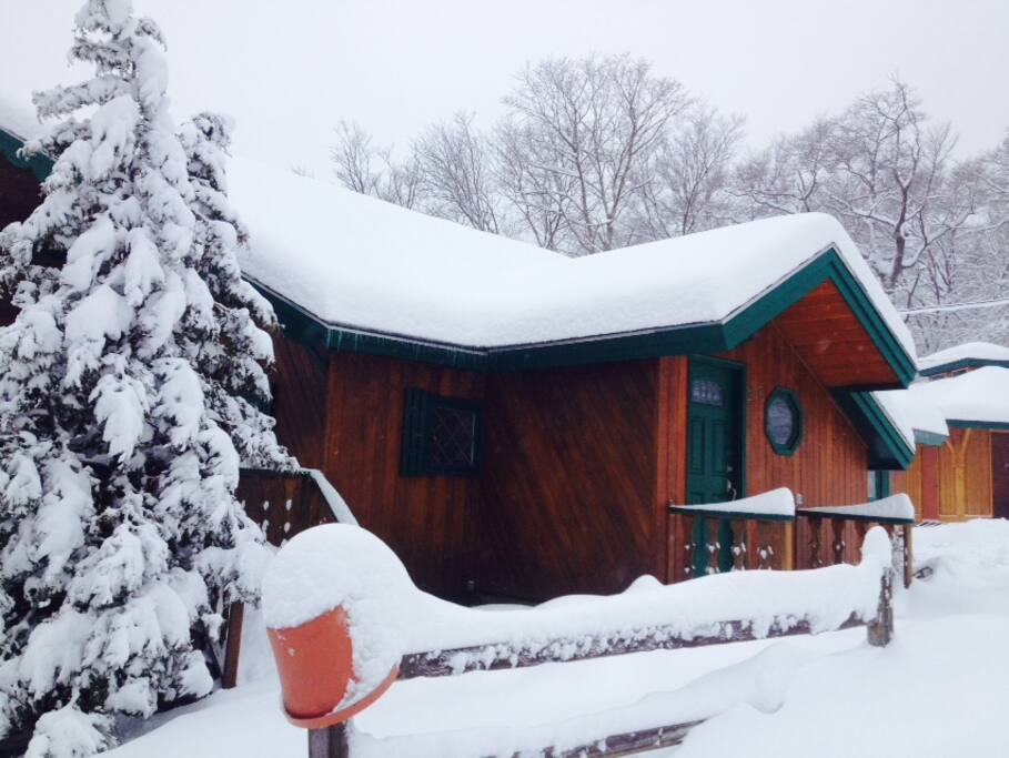 Plenty of snow
