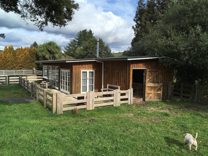 Kereru Lodge Kakahi, private and peacefull getaway Guesthouses for Rent in Kakahi, Manawatu