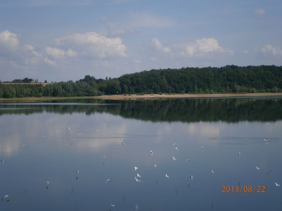 Rezerwat ptaków nad jeziorem