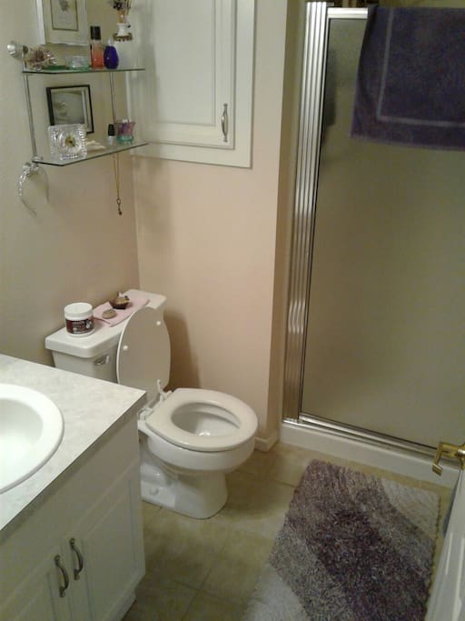3/4 bathroom for guests with shower.