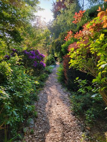 Private Oceanfront Beach House with Hot tub! gallery image 4