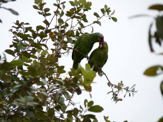 Contemporary seafront villa. gallery image 3