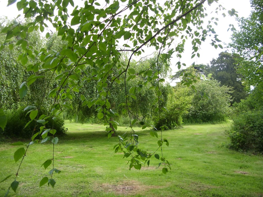 6 acres of private secluded gardens and orchard to site our vintage caravan 'Ivy-Mae'.