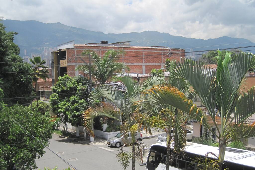 The view from our window