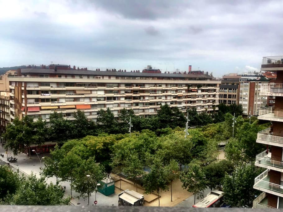 View from the room