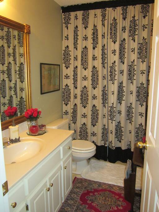 Guest bathroom