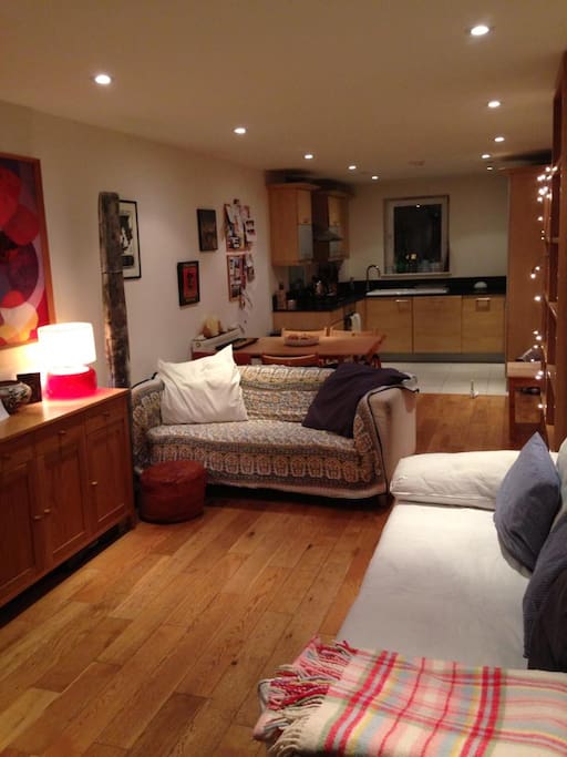 Open-plan living area and kitchen