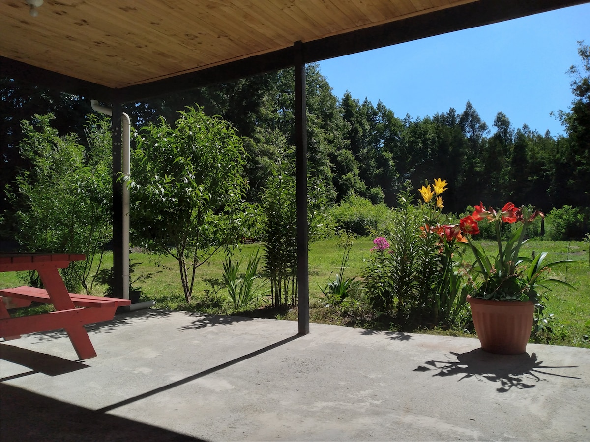 An outdoor space is framed by a wooden roof, featuring a red picnic table in the shade. Lush greenery surrounds the area, with colorful flowers in pots and garden beds, all illuminated by bright sunlight. A serene and inviting natural setting is visible.