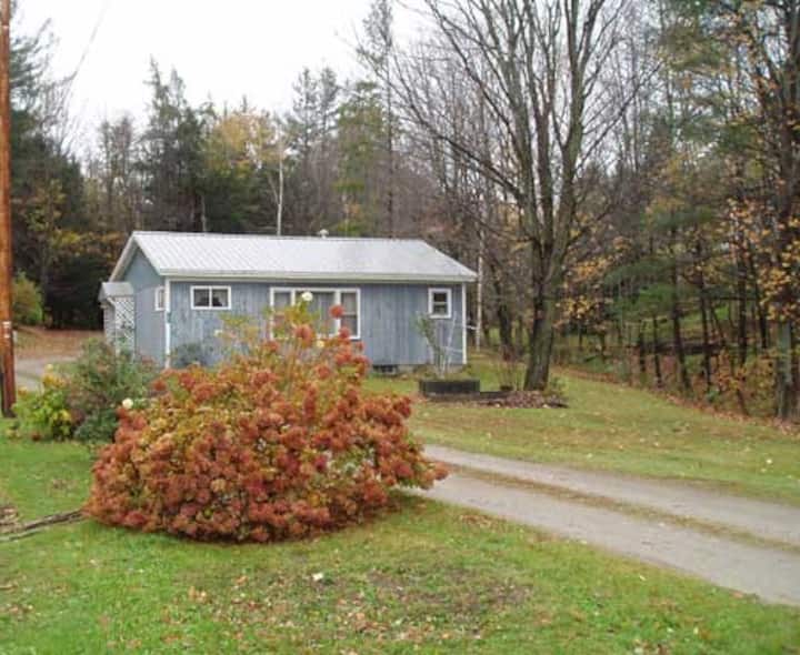 Pete's Place Cabin Okemo/Killington (whole house) Houses for Rent in