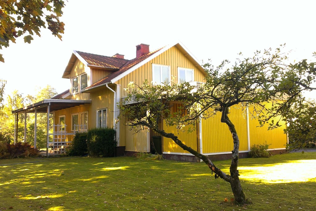 Einmal um das Haus gelaufen