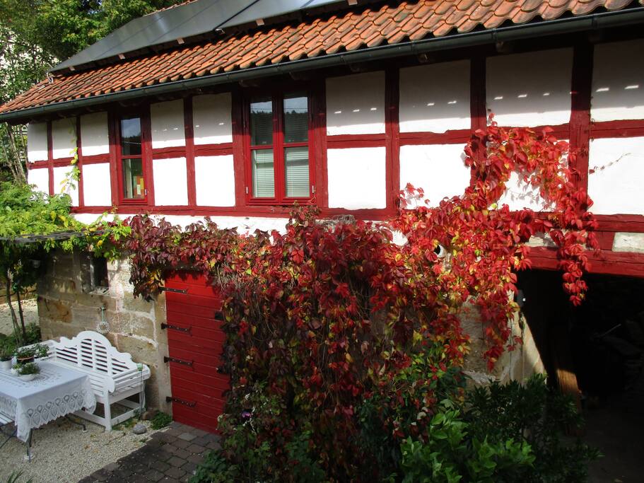 Wilder Wein rankt gästewärts; rare Möglichkeiten, draußen noch einige Herbstsonnenstrahlen einzufangen, ehe die kalte Jahreszeit beginnt