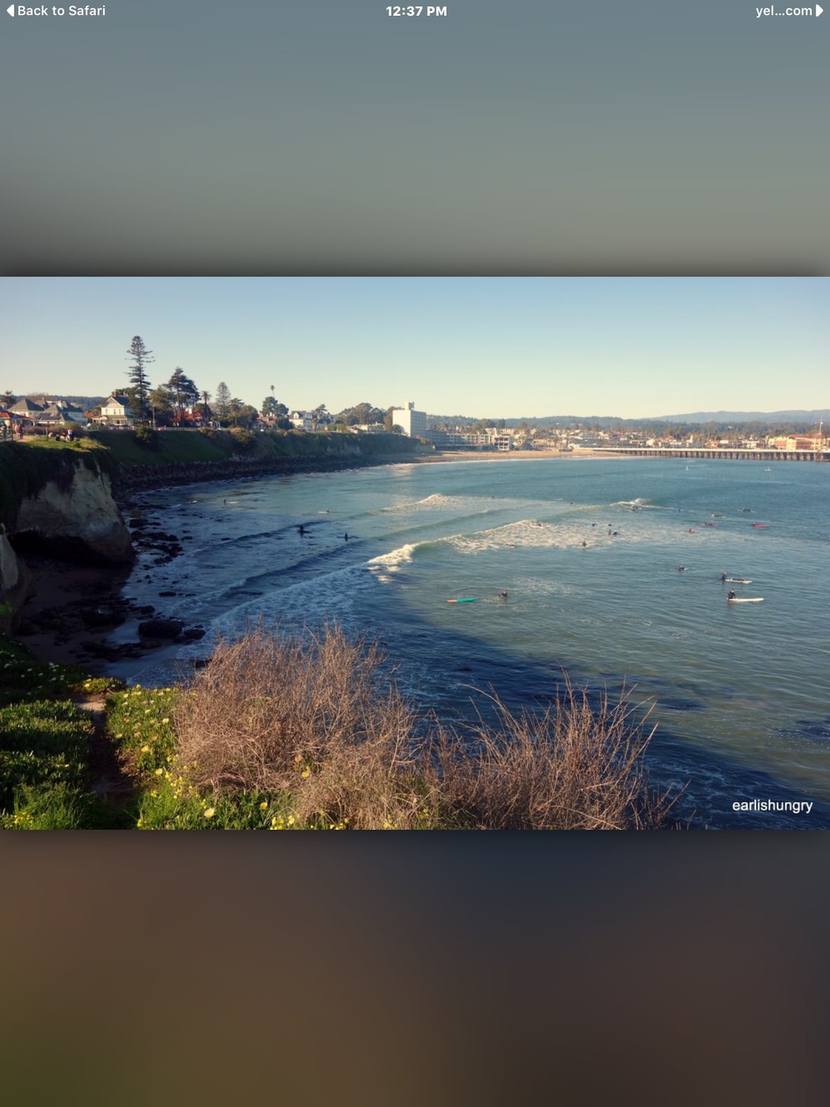 A coastal view displays gentle waves lapping against the shore, where surfers can be seen. The scene is framed by greenery and rocky cliffs, with a backdrop of city buildings and palm trees under a clear sky.