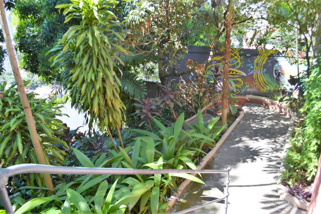 Caminho e Jardim