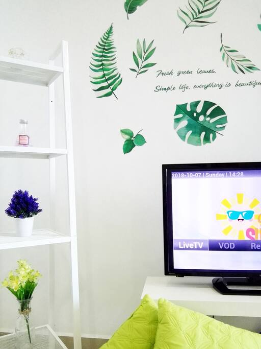 TV Entertainment