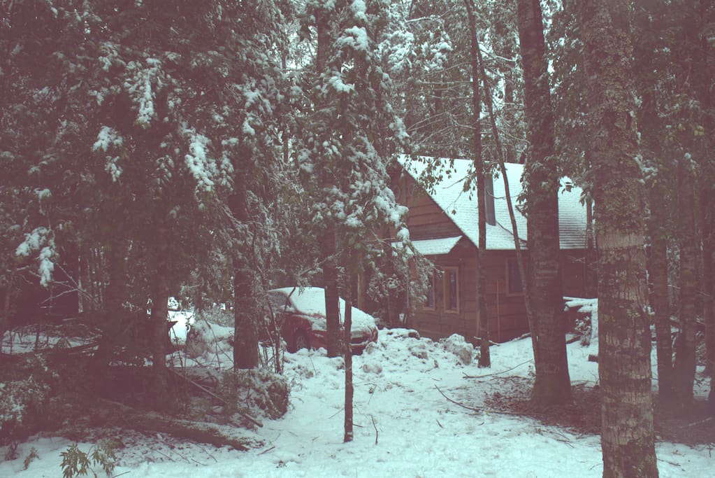 Pequeña cabaña en patio delantero en invierno