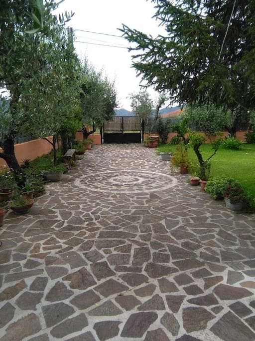 Giardino