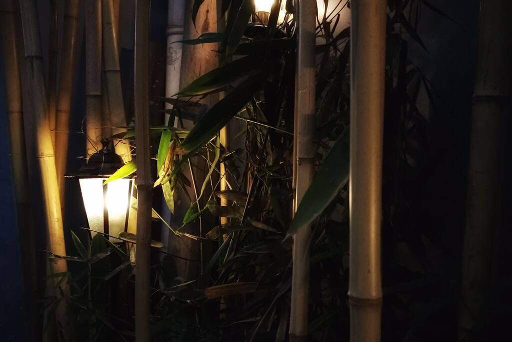 如果入夜,妳會來,我會點著燈等妳歸來。