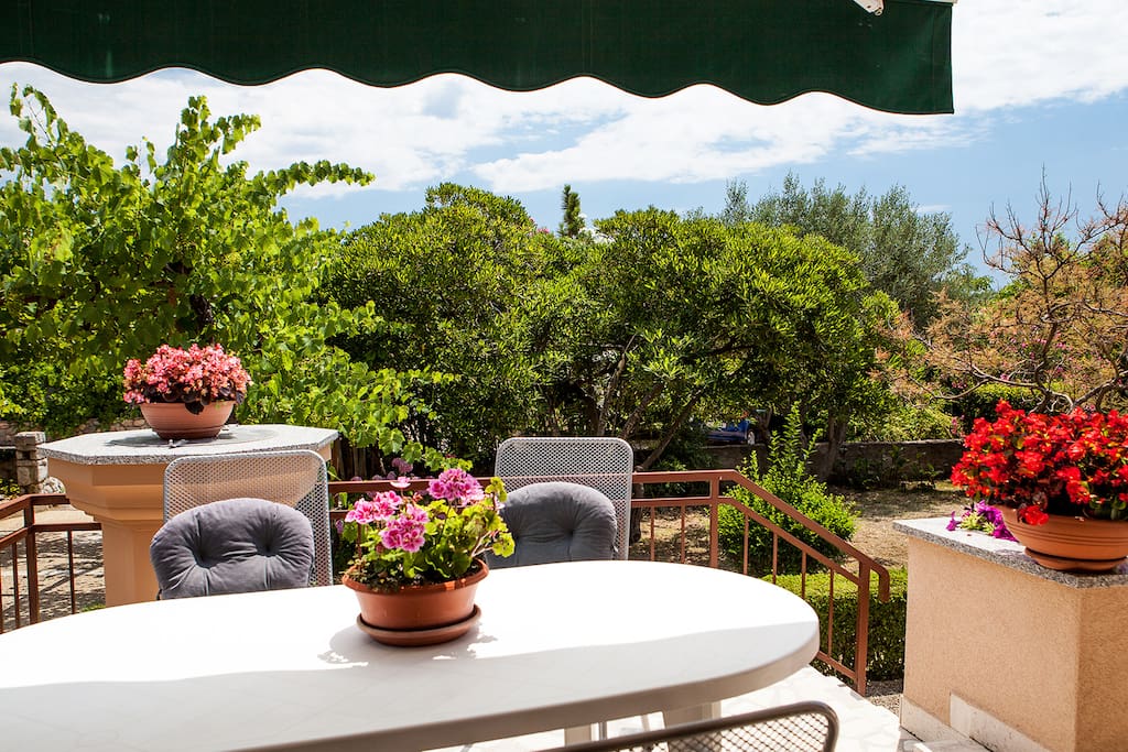 Beautiful view from the terrace