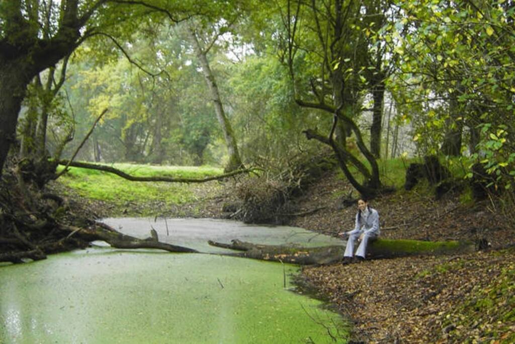 Lagunas en el entorno de la casa, dentro del bosque de Fervenza, al pie del río Miño
