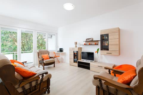 Successful Airbnb property: Botun apartman 84 m² center of Pula, free parking in Grad Pula